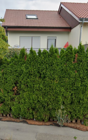 Kompakt und schön – Wohnen in den eigenen 4 Wänden, 72622 Nürtingen, Reihenmittelhaus